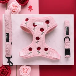 Cocopup Adjustable Harness Bundles-Embroidered Roses Teddy Adjustable Neck Harness, Lead & Collar Bundle