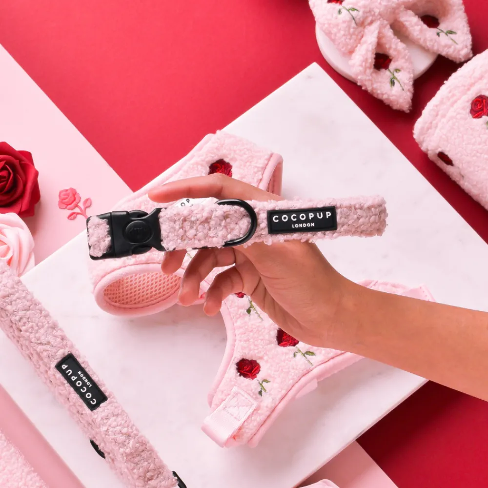 Cocopup Adjustable Harness Bundles-Embroidered Roses Teddy Adjustable Neck Harness, Lead & Collar Bundle