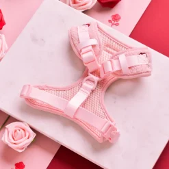 Cocopup Adjustable Harness Bundles-Embroidered Roses Teddy Adjustable Neck Harness, Lead & Collar Bundle