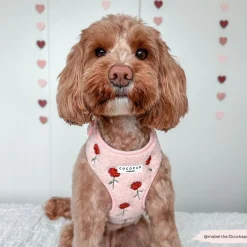 Cocopup Adjustable Harness Bundles-Embroidered Roses Teddy Adjustable Neck Harness, Lead & Collar Bundle