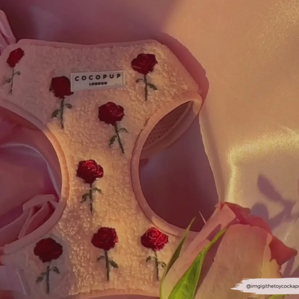 Cocopup Adjustable Harness Bundles-Embroidered Roses Teddy Adjustable Neck Harness, Lead & Collar Bundle