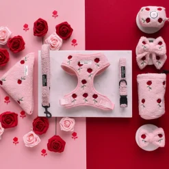 Cocopup Bow Ties-Embroidered Roses Teddy Bow Tie