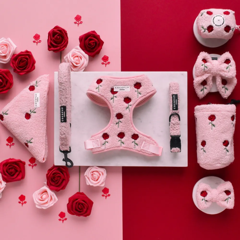 Cocopup Sailor Bow Ties-Embroidered Roses Teddy Sailor Bow Tie