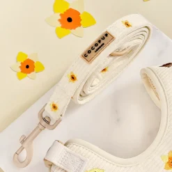 Cocopup Adjustable Harness Bundles-Embroidered Woodland Walkies Adjustable Neck Harness, Lead & Collar Bundle