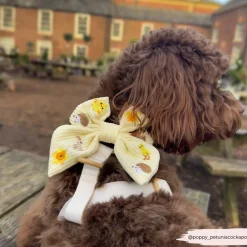 Cocopup Sailor Bow Ties-Embroidered Woodland Walkies Sailor Bow Tie