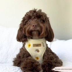 Cocopup Adjustable Harness Bundles-Embroidered Woodland Walkies Adjustable Neck Harness, Lead & Collar Bundle