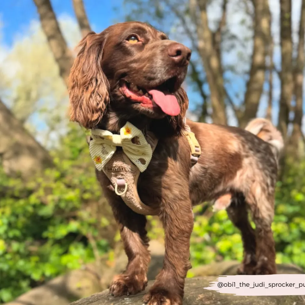 Cocopup Sailor Bow Ties-Embroidered Woodland Walkies Sailor Bow Tie