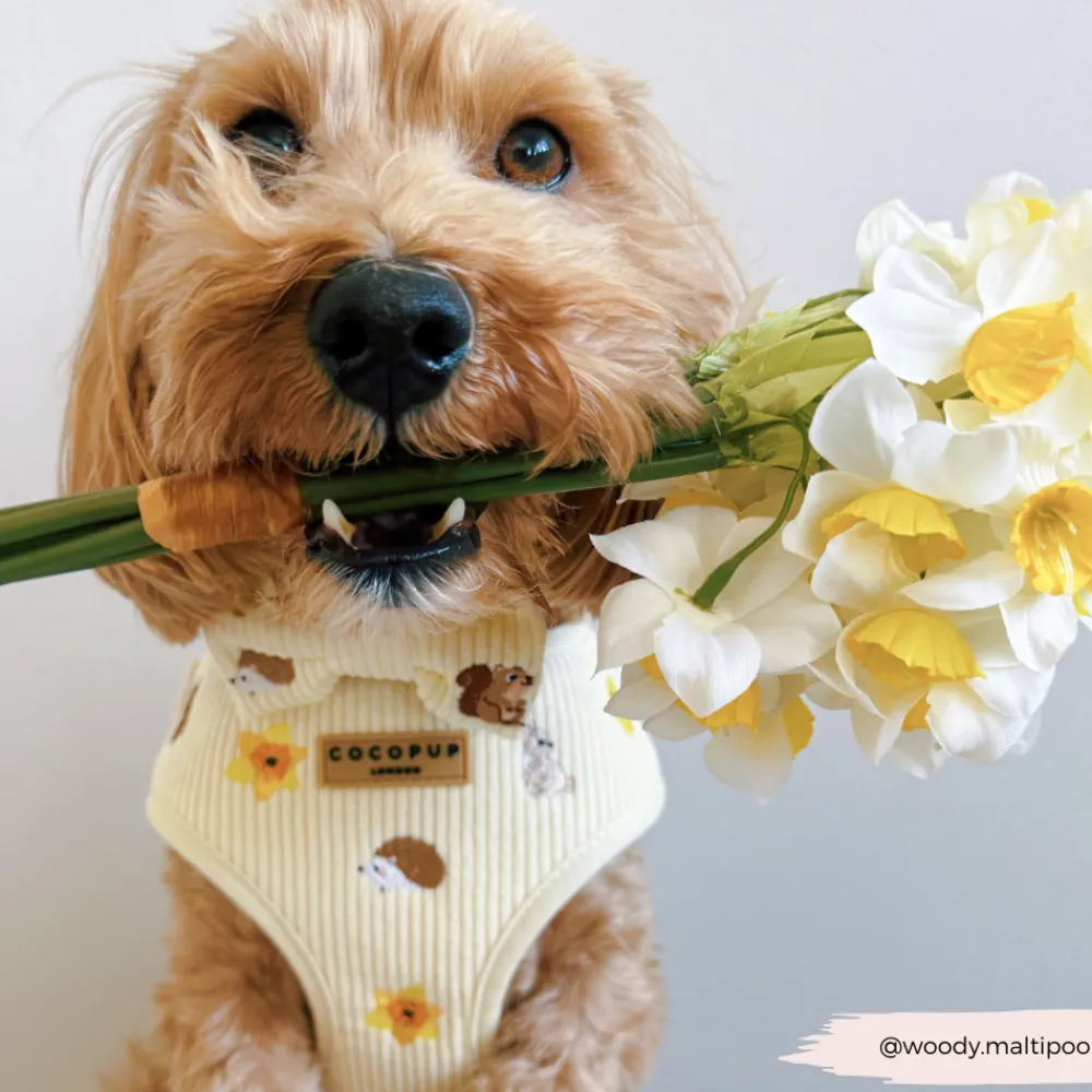 Cocopup Adjustable Neck Harnesses-Embroidered Woodland Walkies Adjustable Neck HARNESS