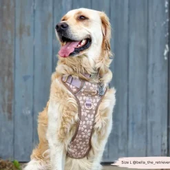 Cocopup Cocopup Explore Harnesses ⛰️-Explore Harness - Mocha Flower