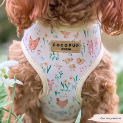 Cocopup Adjustable Harness Bundles-Farmyard Friends Adjustable Neck Harness, Lead & Collar Bundle