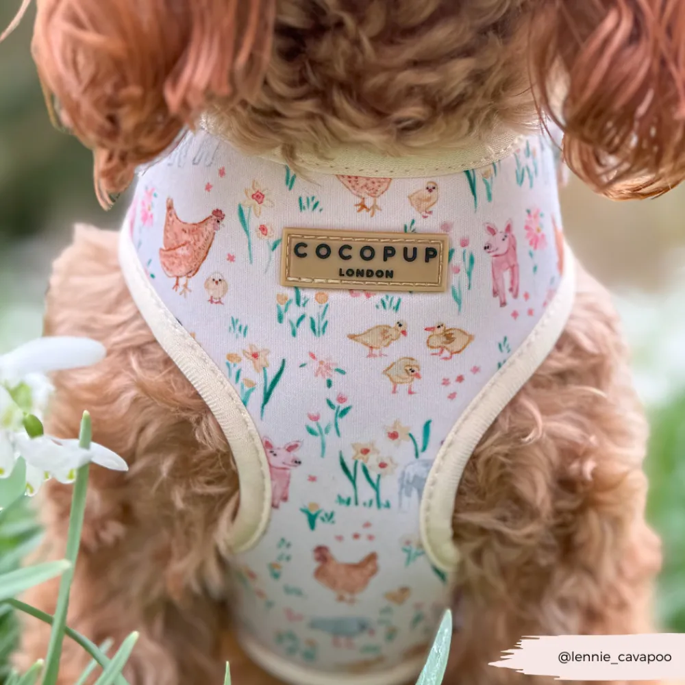 Cocopup Adjustable Harness Bundles-Farmyard Friends Adjustable Neck Harness, Lead & Collar Bundle