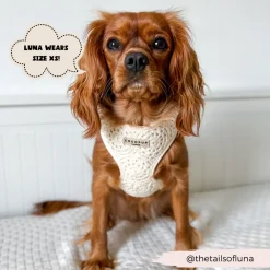 Cocopup Adjustable Harness Bundles-Festival Crochet Adjustable Neck Harness, Lead & Collar Bundle