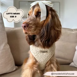 Cocopup Adjustable Harness Bundles-Festival Crochet Adjustable Neck Harness, Lead & Collar Bundle