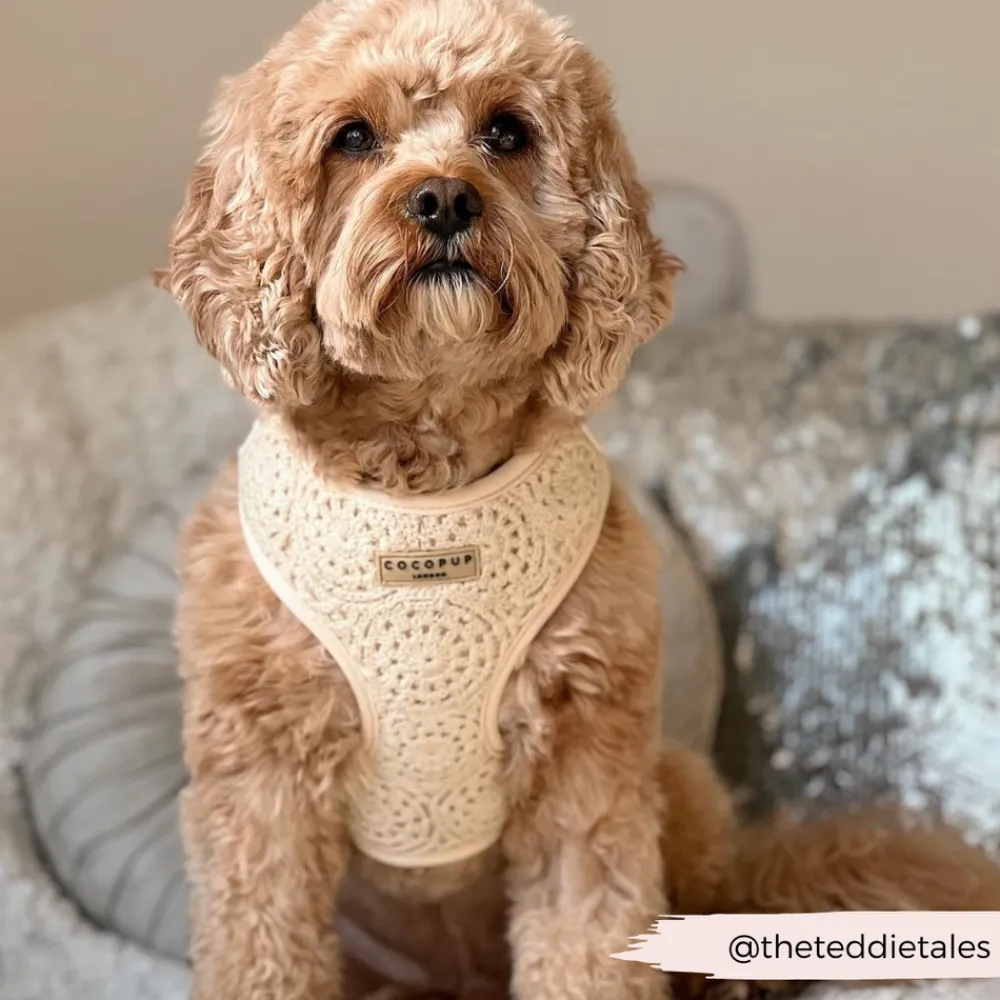 Cocopup Adjustable Neck Harnesses-Festival Crochet Adjustable Neck HARNESS