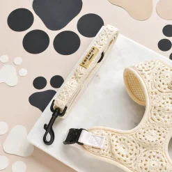 Cocopup Leads | Puppy Leads & Collars-Festival Crochet Lead - Puppy