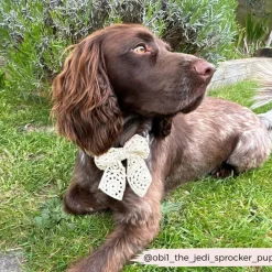 Cocopup Sailor Bow Ties-Festival Crochet Sailor Bow Tie