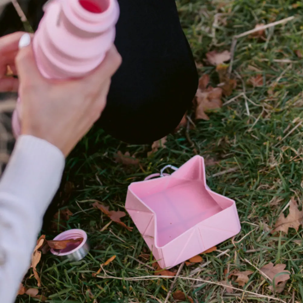 Cocopup Foldable Bowls | Foldable Bowls-Foldable Travel Bowl - Pink
