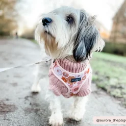 Cocopup Adjustable Harness Bundles-Groovy Florals Adjustable Neck Harness, Lead & Collar Bundle