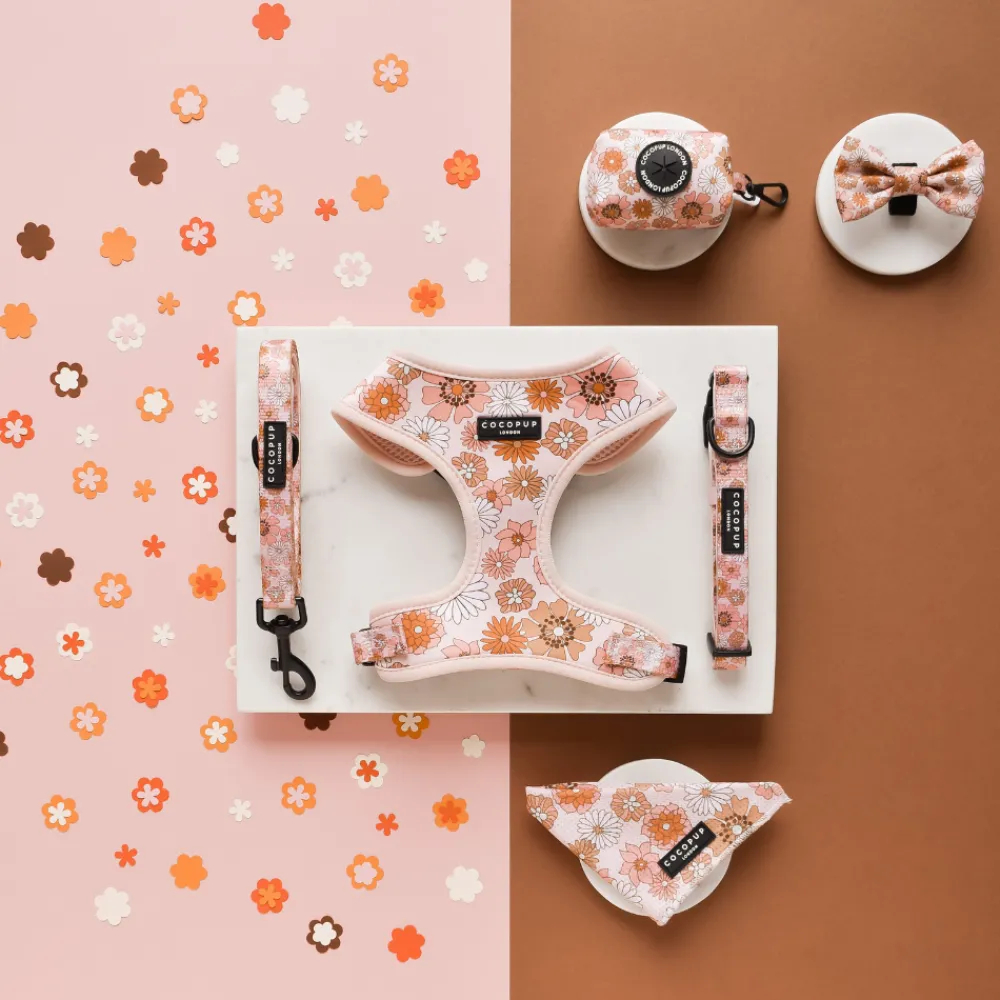 Cocopup Bandanas-Groovy Florals Bandana