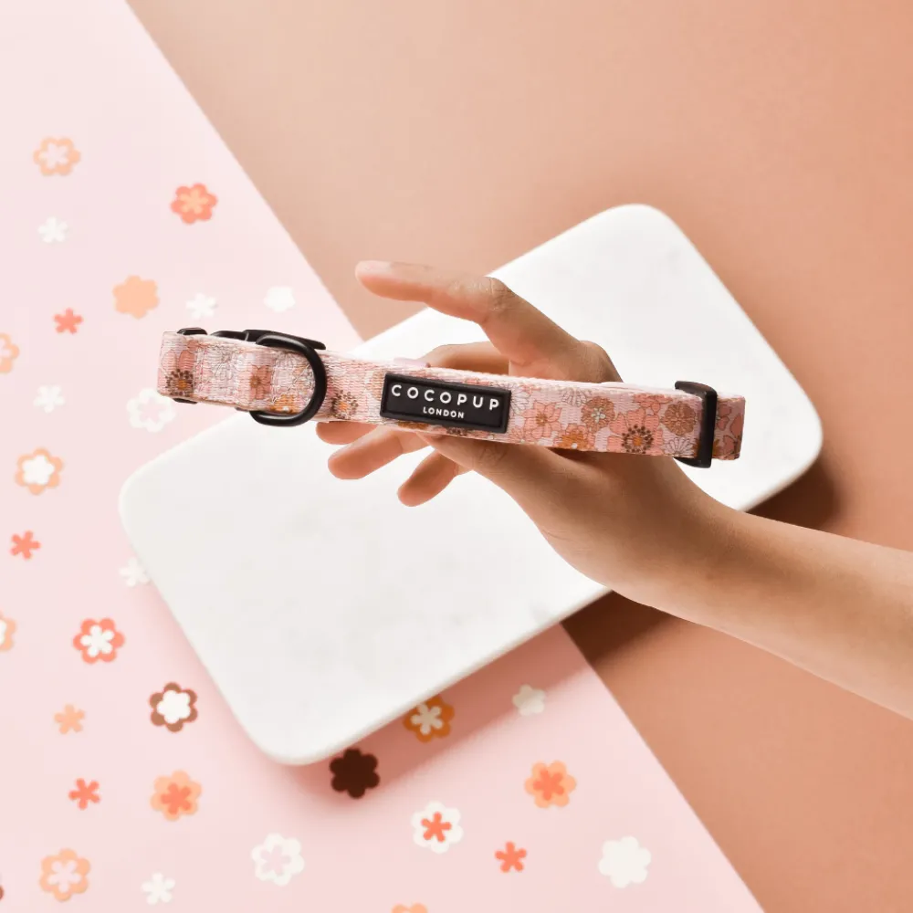 Cocopup Collars-Groovy Florals COLLAR