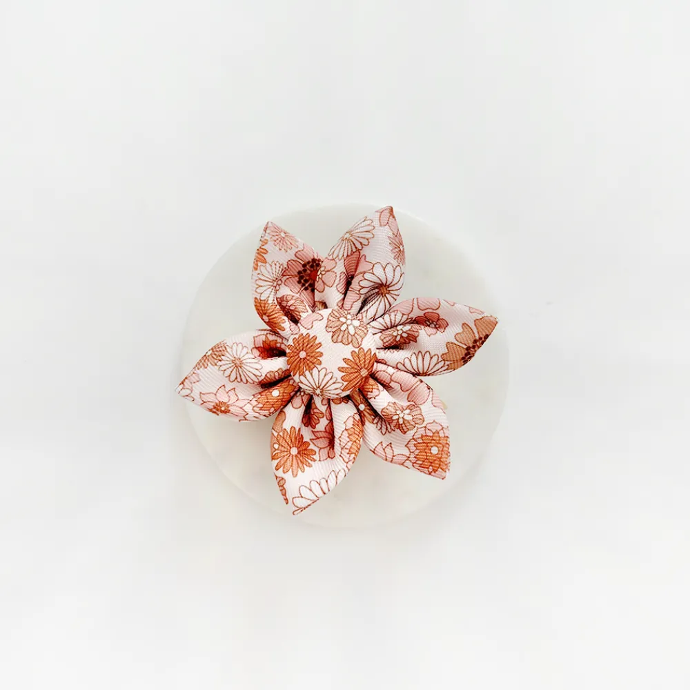 Cocopup Collar Flowers-Groovy Florals Collar Flower