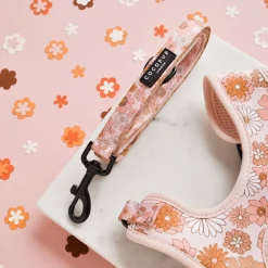 Cocopup Leads-Groovy Florals Lead