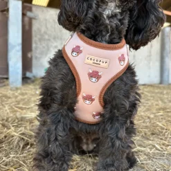 Cocopup Adjustable Harness Bundles-Harold the Highland Cow Adjustable Neck Harness, Lead & Collar Bundle