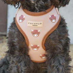 Cocopup Adjustable Neck Harnesses-Harold the Highland Cow Adjustable Neck HARNESS
