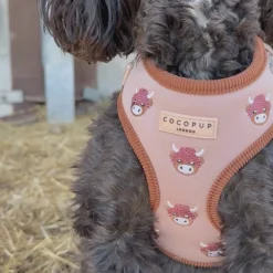 Cocopup Adjustable Harness Bundles-Harold the Highland Cow Adjustable Neck Harness, Lead & Collar Bundle