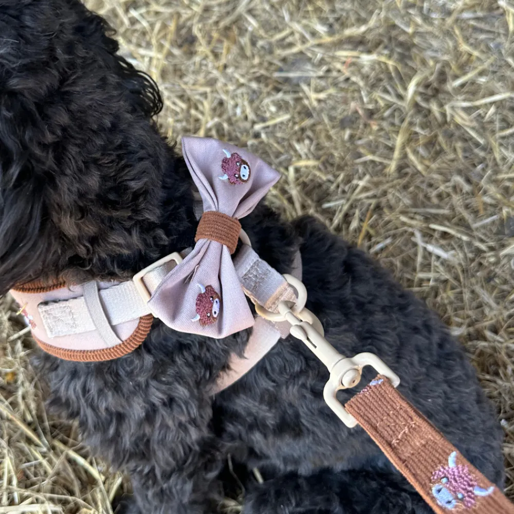 Cocopup Bow Ties-Harold the Highland Cow Bow Tie