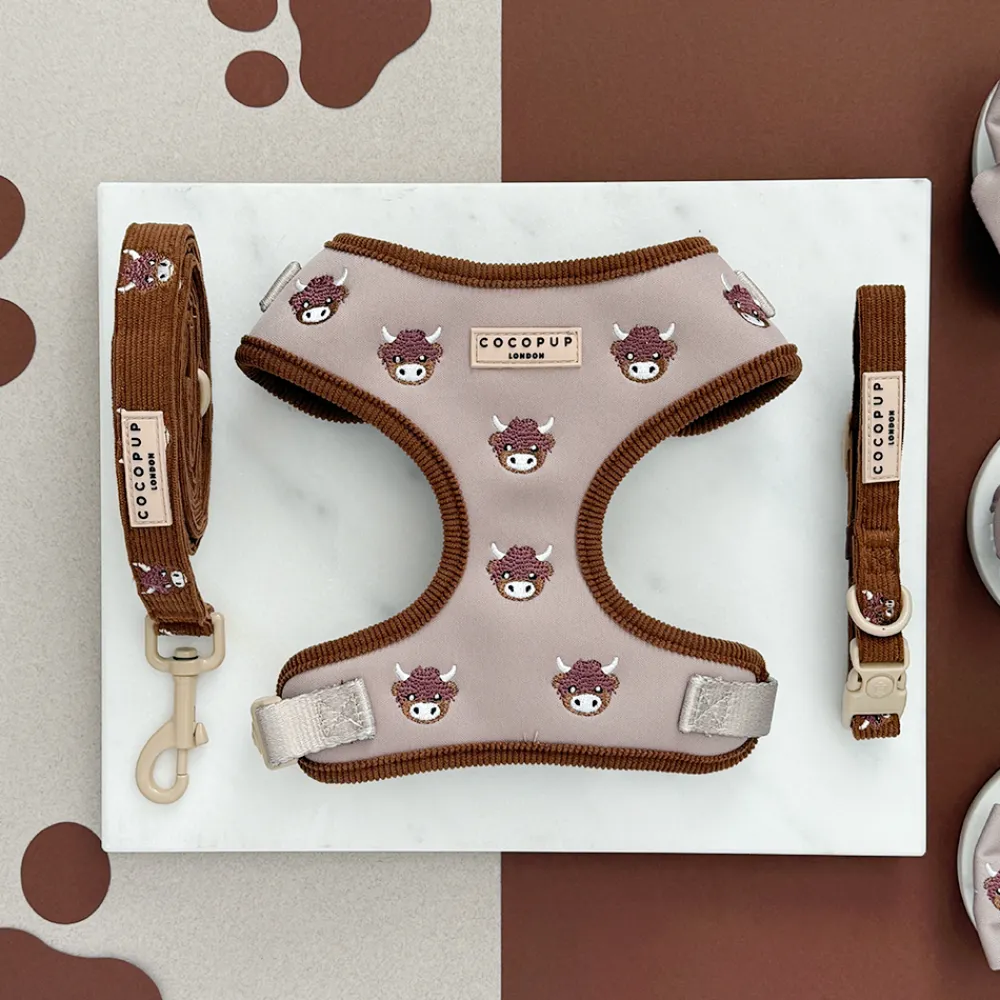 Cocopup Collars | Puppy Leads & Collars-Harold the Highland Cow COLLAR
