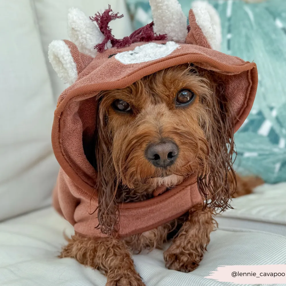 Cocopup Drying Robes ð§-Harold the Highland Cow Drying Robe