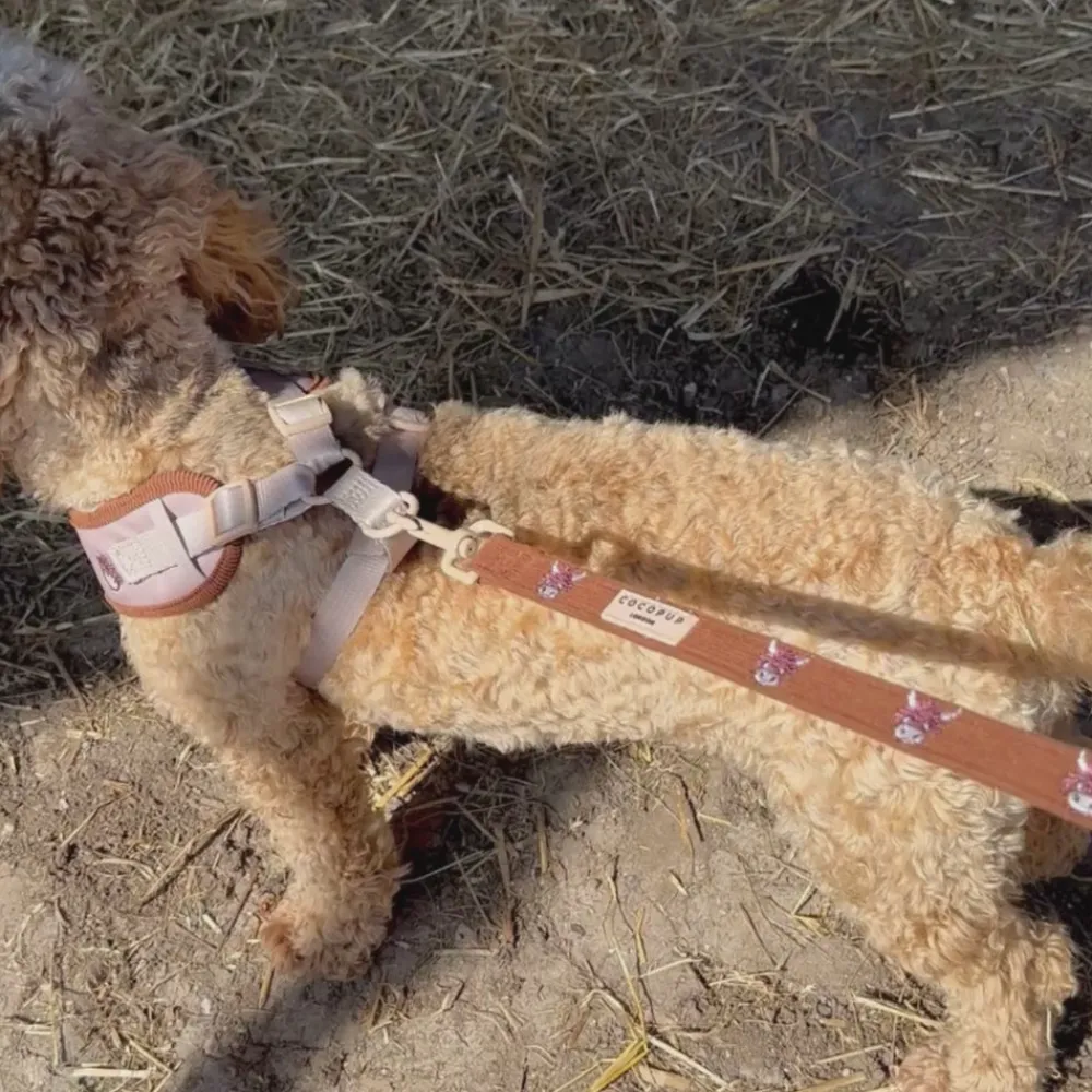 Cocopup Leads-Harold the Highland Cow Lead