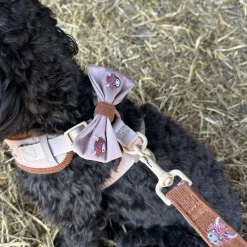 Cocopup Leads-Harold the Highland Cow Lead