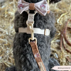 Cocopup Leads-Harold the Highland Cow Lead