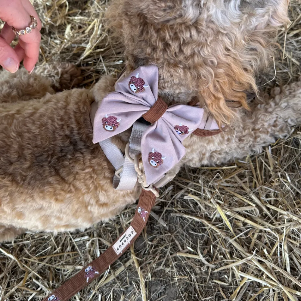 Cocopup Sailor Bow Ties-Harold the Highland Cow Sailor Bow Tie