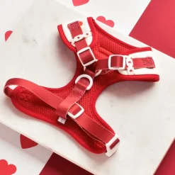Cocopup Adjustable Neck Harnesses-Hugs & Knitted Adjustable Neck HARNESS