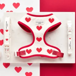 Cocopup Collars-Hugs & Knitted COLLAR