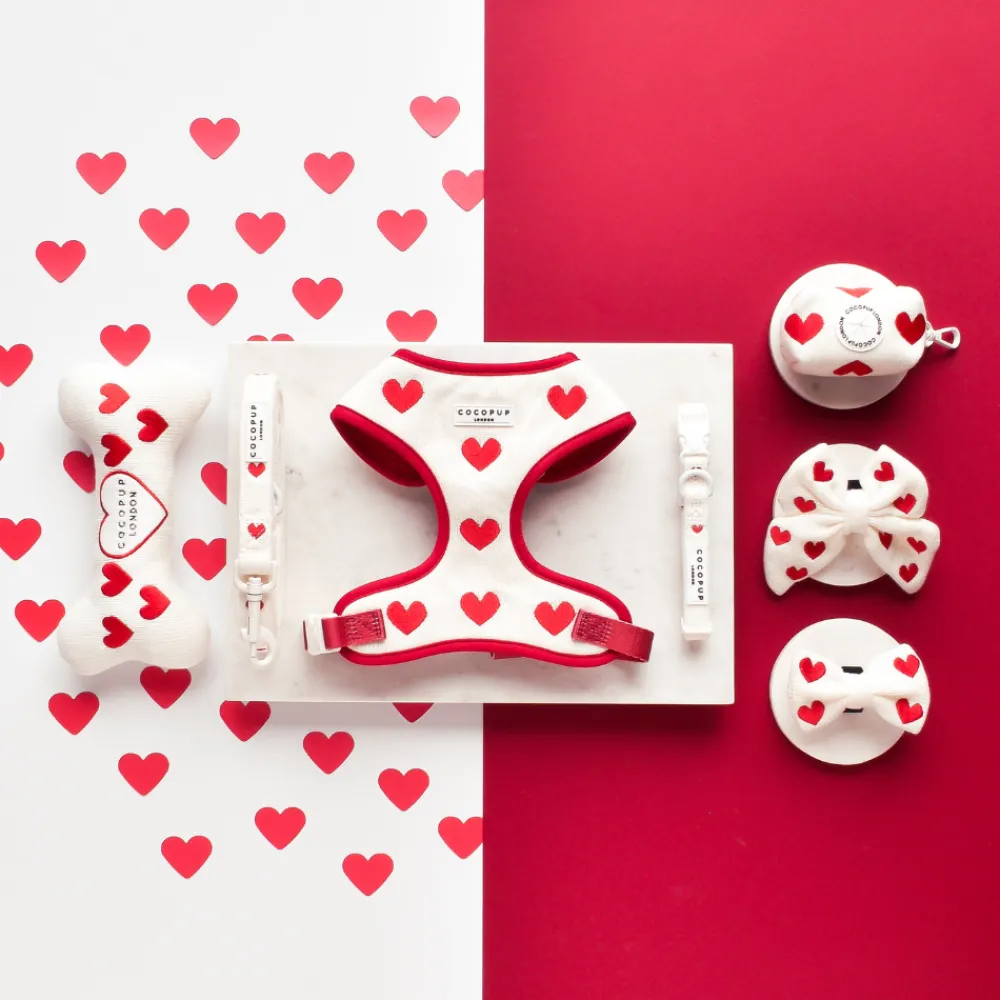 Cocopup Sailor Bow Ties-Hugs & Knitted Sailor Bow Tie