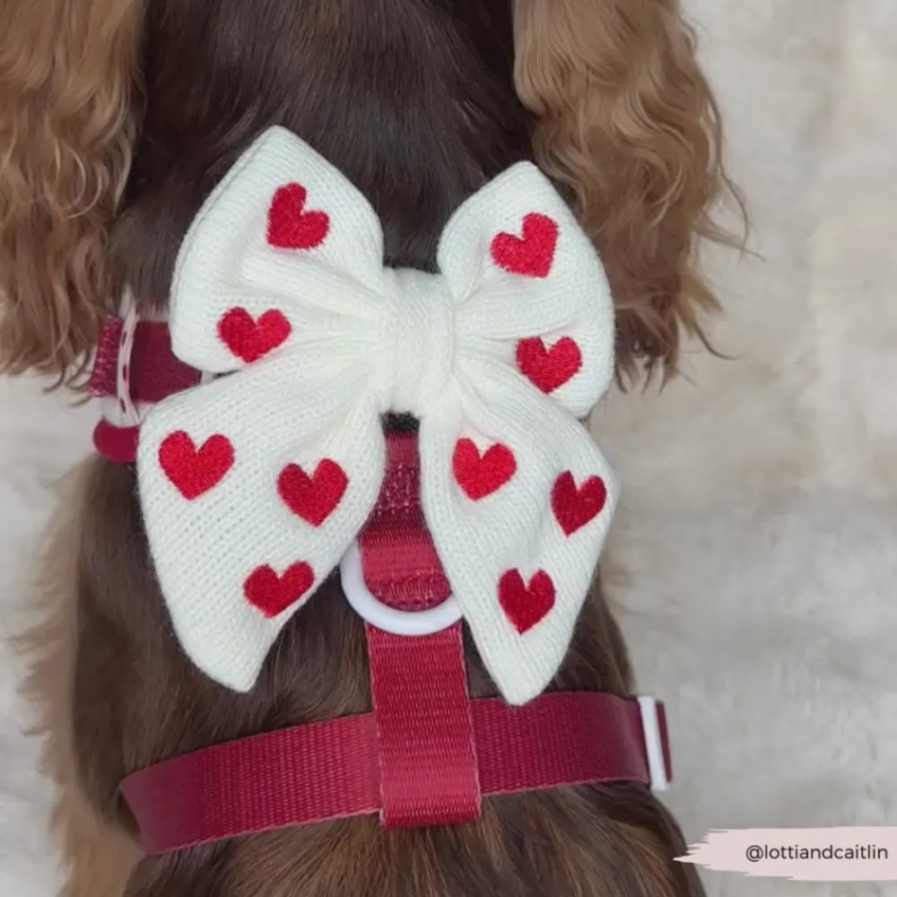 Cocopup Sailor Bow Ties-Hugs & Knitted Sailor Bow Tie