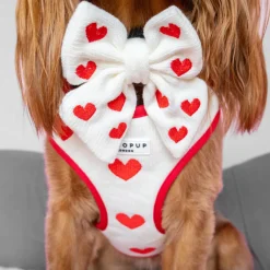 Cocopup Sailor Bow Ties-Hugs & Knitted Sailor Bow Tie