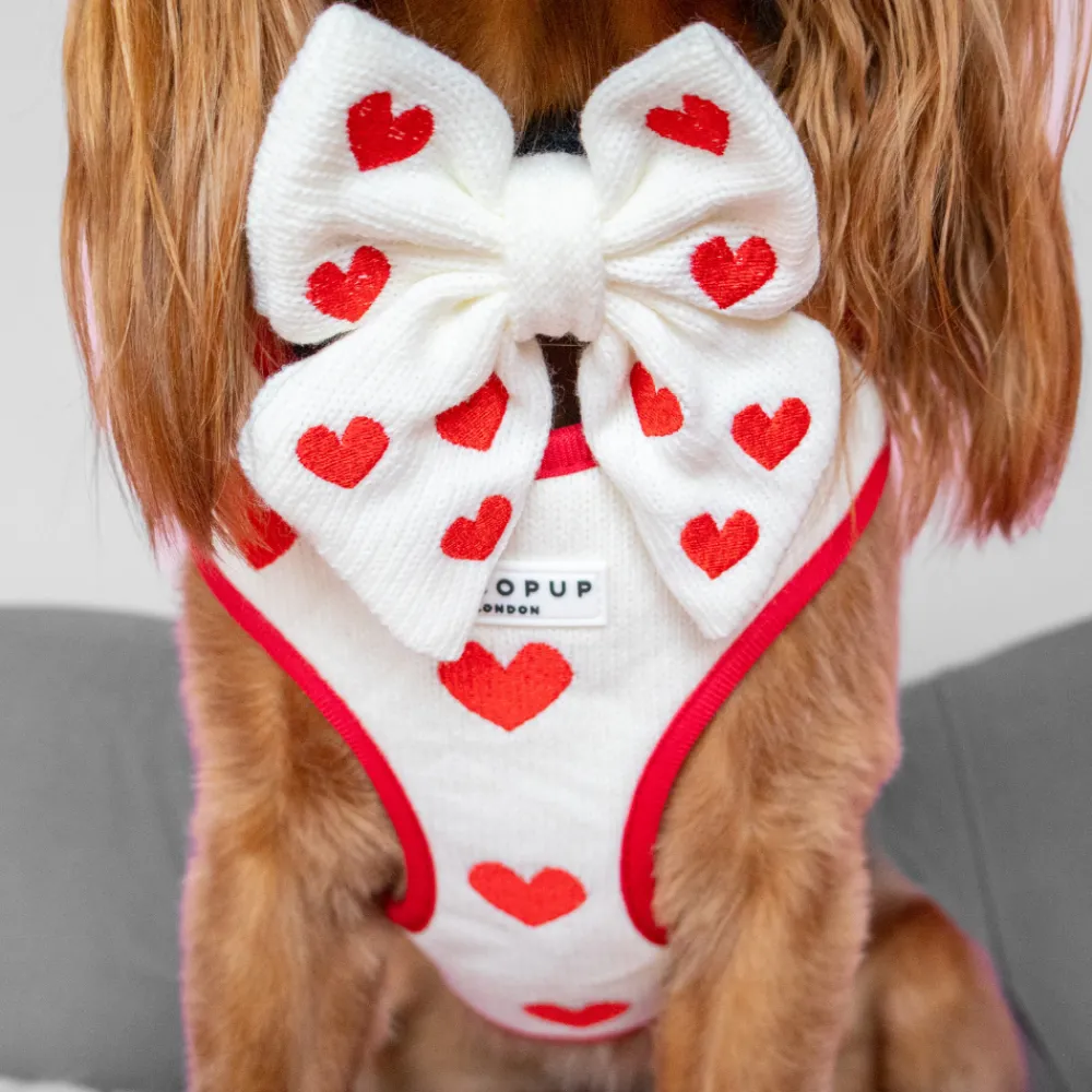 Cocopup Sailor Bow Ties-Hugs & Knitted Sailor Bow Tie