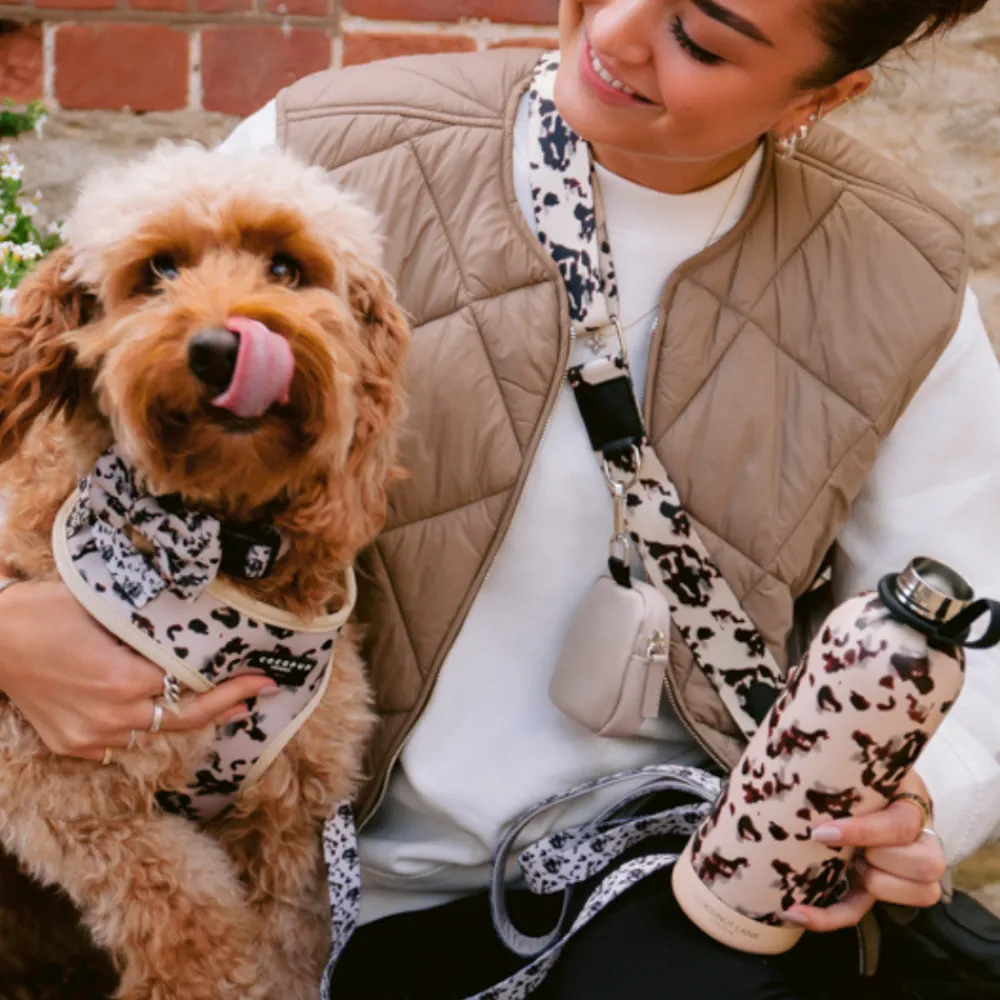Cocopup Adjustable Harness Bundles-Ivory Tort Adjustable Neck Harness, Lead & Collar Bundle
