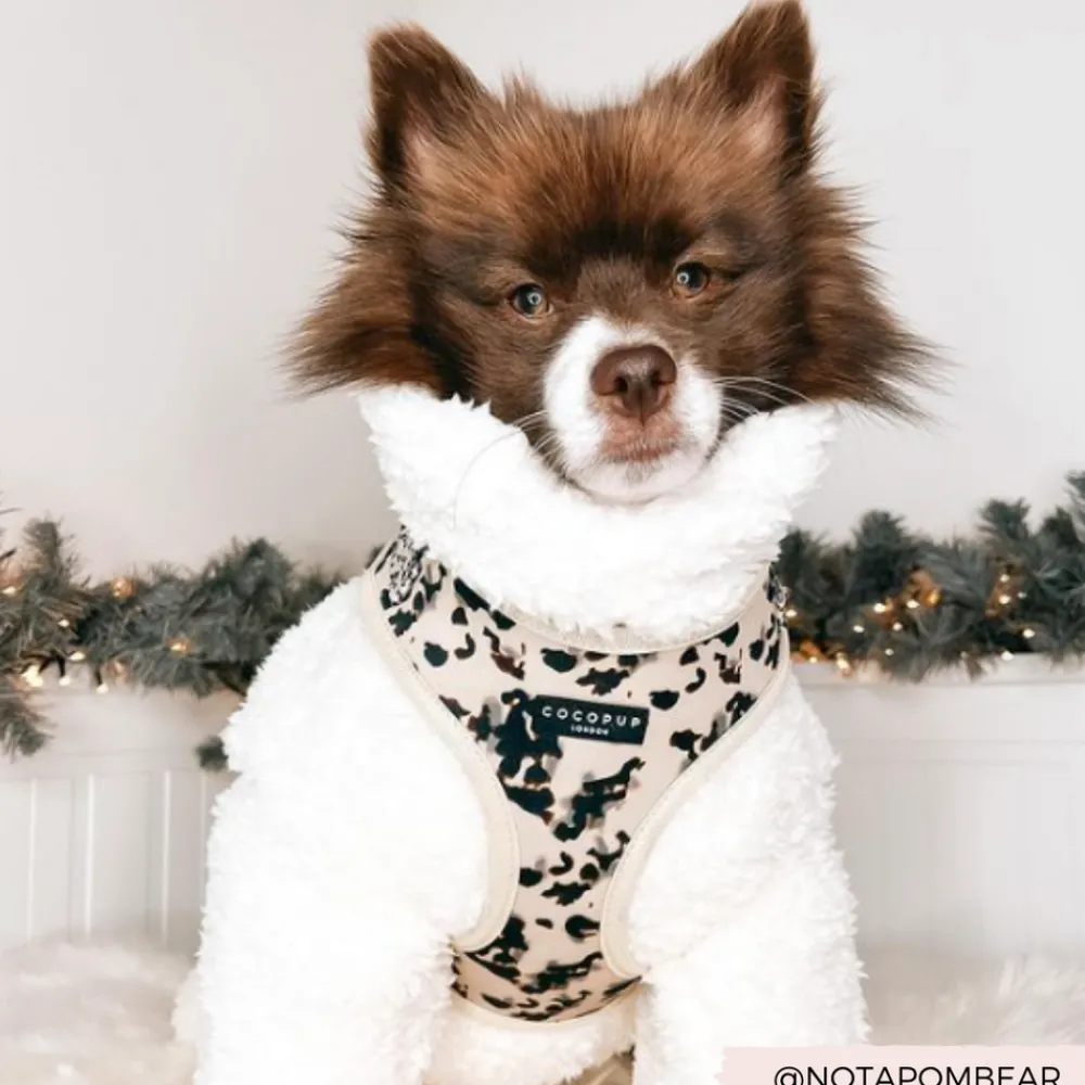 Cocopup Adjustable Harness Bundles-Ivory Tort Adjustable Neck Harness, Lead & Collar Bundle
