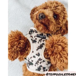 Cocopup Adjustable Harness Bundles-Ivory Tort Adjustable Neck Harness, Lead & Collar Bundle