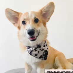 Cocopup Bandanas-Ivory Tort Bandana