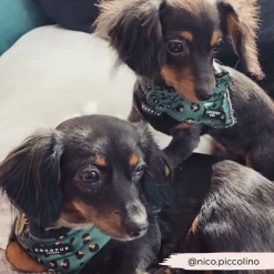 Cocopup Bandanas-Khaki Leopard Bandana