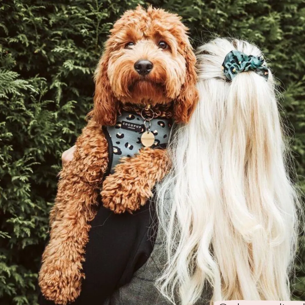 Cocopup Scrunchies-Khaki Leopard Scrunchie by Coconut Lane