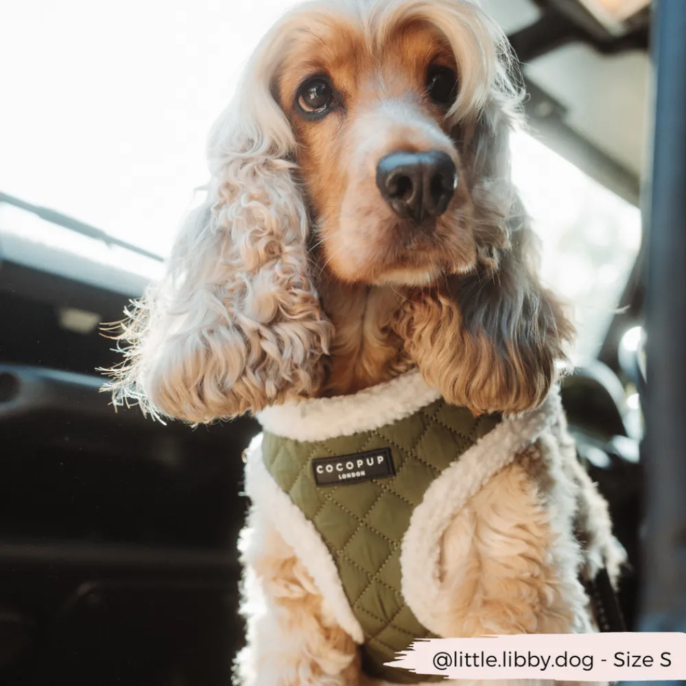 Cocopup Adjustable Neck Harnesses-Khaki Quilted Adjustable Neck HARNESS
