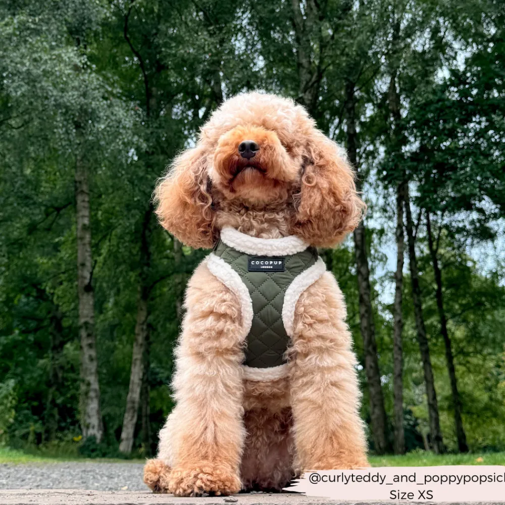Cocopup Adjustable Harness Bundles-Khaki Quilted Adjustable Neck Harness, Lead & Collar Bundle